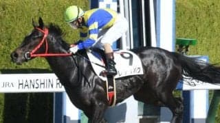 【阪神4R新馬戦結果】9番人気のレディバグが5馬身差圧勝