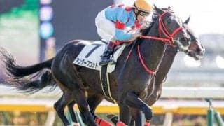 【東京4R新馬戦結果】アンダープロットが競り合いを制してV