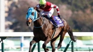 【京都ジャンプS予想】絶対王者オジュウチョウサン参戦、2番手にスズカプレスト