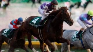 【武蔵野S予想】得意舞台のサンライズノヴァに期待