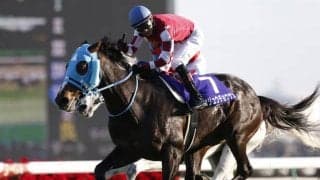 【本日の注目ポイント】阪神でデイリー杯2歳Sと京都ジャンプS、東京で武蔵野S