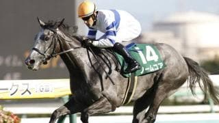 【エリザベス女王杯予想】新しい一面を見せたノームコアに期待