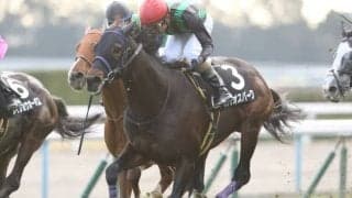 【福島記念予想】得意距離のバイオスパークを中心視