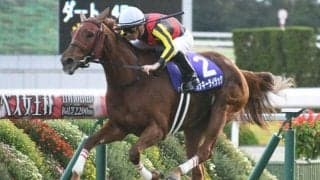 【本日の注目ポイント】秋の女王決定戦・エリザベス女王杯