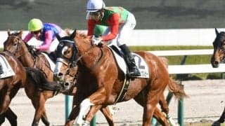 【阪神4R新馬戦結果】シゲルピンクルビーが人気に応え差し切りV、姉はシゲルピンクダイヤ