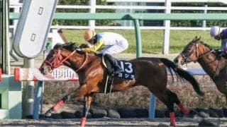 【霜月S】ジャパンC登録のヨシオは56kg、重賞勝ち馬グルーヴィットは57kg