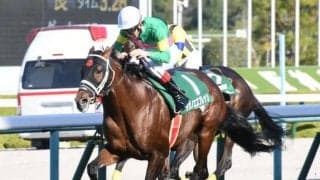 【京都ジャンプS】売上は8億5784万8500円で昨年から増加