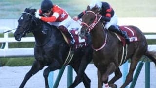 【デイリー杯2歳S】売上は22億4494万6500円で昨年から減少　レッドベルオーブが兄弟連覇