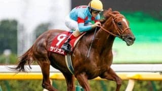 JRAは3日間開催 GIマイルCS＆GIII東京スポーツ杯2歳Sに注目/今週の競馬界の見どころ