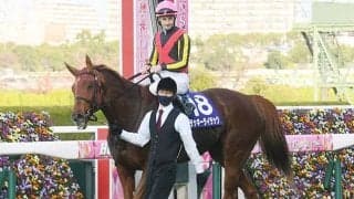 【エリザベス女王杯回顧】オルフェーヴル産駒の成功する配合パターン/栗山求コラム