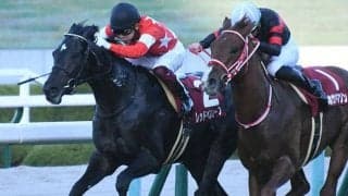 【デイリー杯2歳S杯回顧】レッドベルオーブ　無敗の三冠馬と同じニックス/栗山求コラム