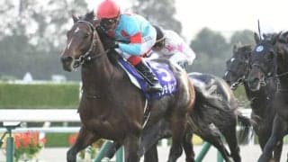 【マイルCS】フルゲート18頭にグランアレグリアなど17頭の登録