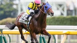 【東京スポーツ杯2歳S】フルゲート18頭にダノンザキッドなど10頭　モリノカンナチャンは赤松賞にも登録