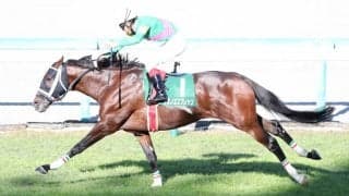 【京都ジャンプS】オジュウチョウサン敗れる！タガノエスプレッソが大金星！