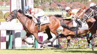 【新馬/阪神5R】ドゥラメンテ産駒 アトミックフレアがデビューV