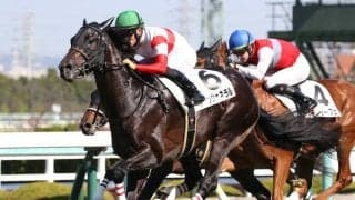 【新馬/阪神5R】ドゥラメンテ産駒 ダノンジェネラルが人気に応える