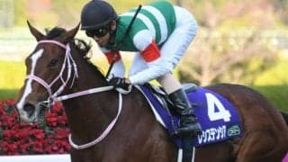 【マイルCS展望】阪神開催のマイル王決定戦、あの馬に期待したい