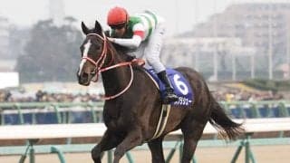 有馬記念ファン投票スタート