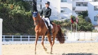 全慶應義塾対全早稲田定期戦選手コメント集