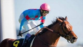 【武豊日記】年間１００勝はノルマだと思っています