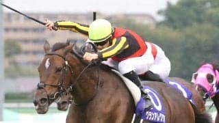 【マイルCS】出走馬の調教後の馬体重