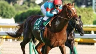 【本日の注目ポイント】秋のマイル王決定戦・マイルCS