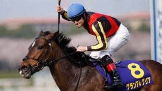 【マイルCS前日オッズ】グランアレグリアが1.7倍で1番人気