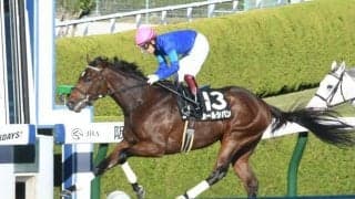 【もちの木賞結果】8番人気のホールシバンが差し切り快勝