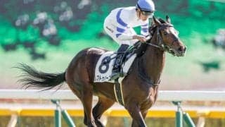 【東京5R新馬戦結果】レフトゥバーズが突き抜け快勝