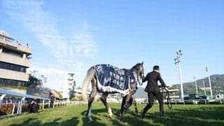 【次走】ウインブライトがラストラン、連覇の懸かる香港Cへ向かう