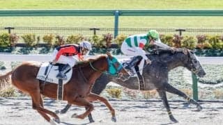 【東京4R新馬戦結果】ホワイトクロウが押し切り新馬勝ち