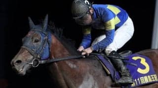 【次走】モジアナフレイバーは勝島王冠を視野