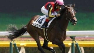 【マイルCS 13時時点オッズ】グランアレグリアが単勝1.6倍で1番人気、サリオスが4.2倍で続く