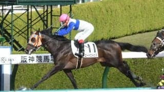 【阪神6R新馬戦結果】ロードエルピスが押し切り勝ち