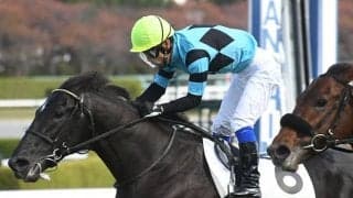 【阪神4R・2歳未勝利】単勝141.7倍エイカイファントムがV　開業20年目の藤原英昭厩舎、初の単勝万馬券