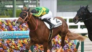 【阪神5R新馬戦結果】サトノハンターが接戦を制し新馬勝ち
