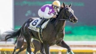 【東京5R新馬戦結果】イースタンワールドが好位から抜け出し快勝