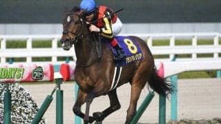 【マイルCS・馬体重】グランアレグリアは502kg(-2)、レシステンシアは500kg(+24)