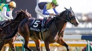 【赤松賞結果】アパパネの娘アカイトリノムスメが2連勝