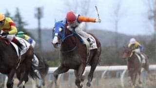 【金沢ヤングチャンピオン結果】アイバンホーがサブノタマヒメを破って重賞初V