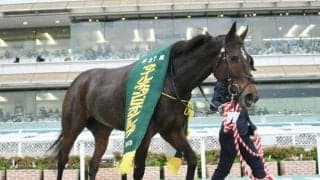 【勝負の分かれ目 マイルCS】厳しいレースながら、グランアレグリアが圧巻の勝利