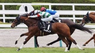 【甲東特別】良血ライティア3勝目をマーク