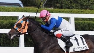 【新馬/阪神6R】ロードエルピスが早め先頭から押し切る