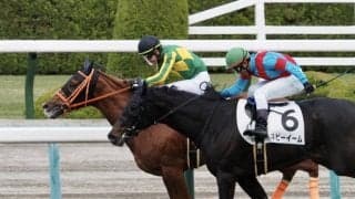 【新馬/阪神5R】ハービンジャー産駒 サトノハンターがデビューV