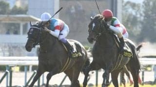 【本日の注目ポイント】3日間開催最終日、重賞は東京スポーツ杯2歳S