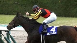 WIN5は203票的中！グランアレグリアが圧勝