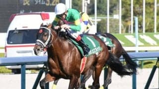 【次走】オジュウ撃破のタガノエスプレッソは暮れの中山大障害へ