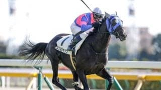 【東京5R新馬戦結果】タケルジャックが好位から抜け出しV