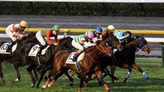 【東京12R】ヴェスターヴァルトが3勝目！母はサンブルエミューズ