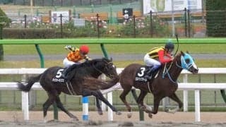 【晩秋S】武豊 ヒロイックテイルが逃げ切りでオープン入り